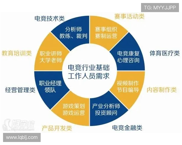 聚焦电竞职业联赛发展探索数字竞技产业未来新格局
