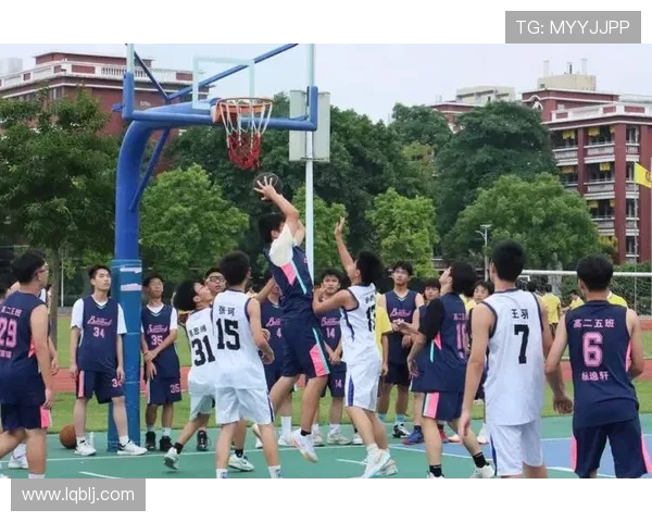 以篮球点燃青春激情共同追逐梦想展现团队力量与拼搏精神