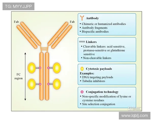 RulerADC职业生涯高光时刻与关键转折深度解析 RulerADC职业生涯高光时刻与关键转折深度解析