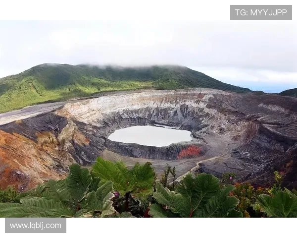 CCTV五频道直播巴西对决哥斯达黎加精彩赛事回顾与分析 CCTV五频道直播巴西对决哥斯达黎加精彩赛事回顾与分析